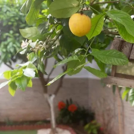 Murillo By Gades Gestion 아파트 *