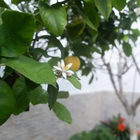 Murillo By Gades Gestion * Cadice